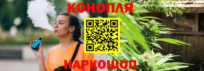 МДПВ Партизанск