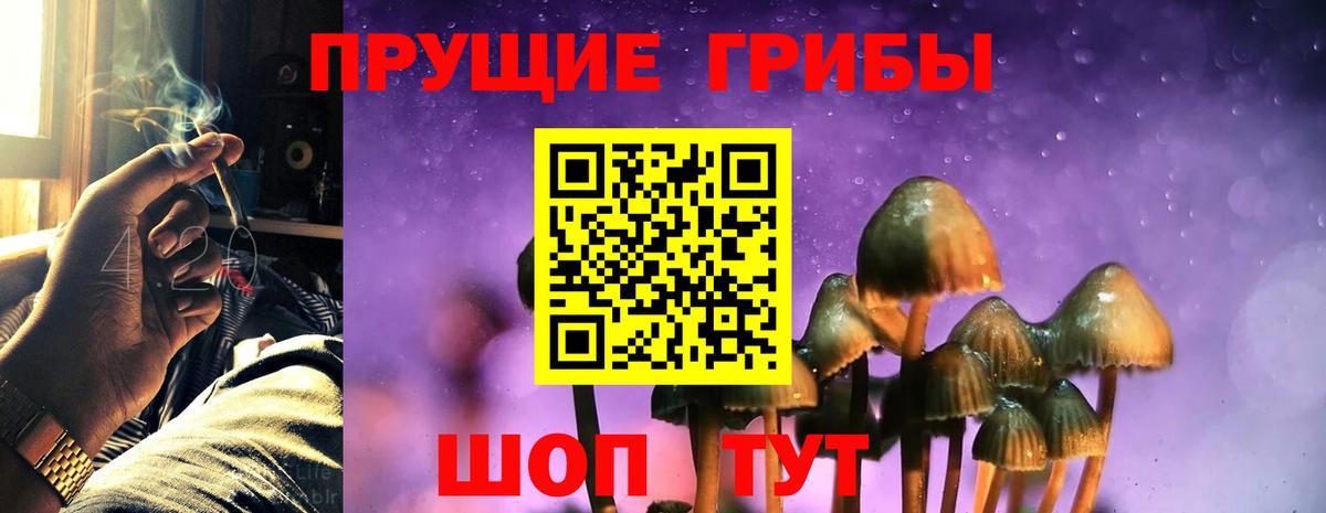 Псилоцибиновые грибы прущие грибы  Вход с VPN  Анапа  Галлюциногенные грибы GOLDEN TEACHER 
